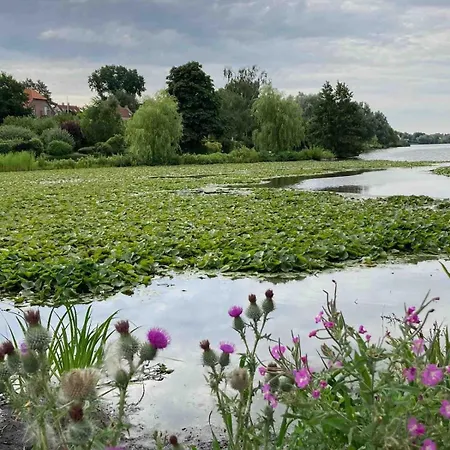 Din Egen Villa, Spa, Ude Bruser, Have & Elbil-lader